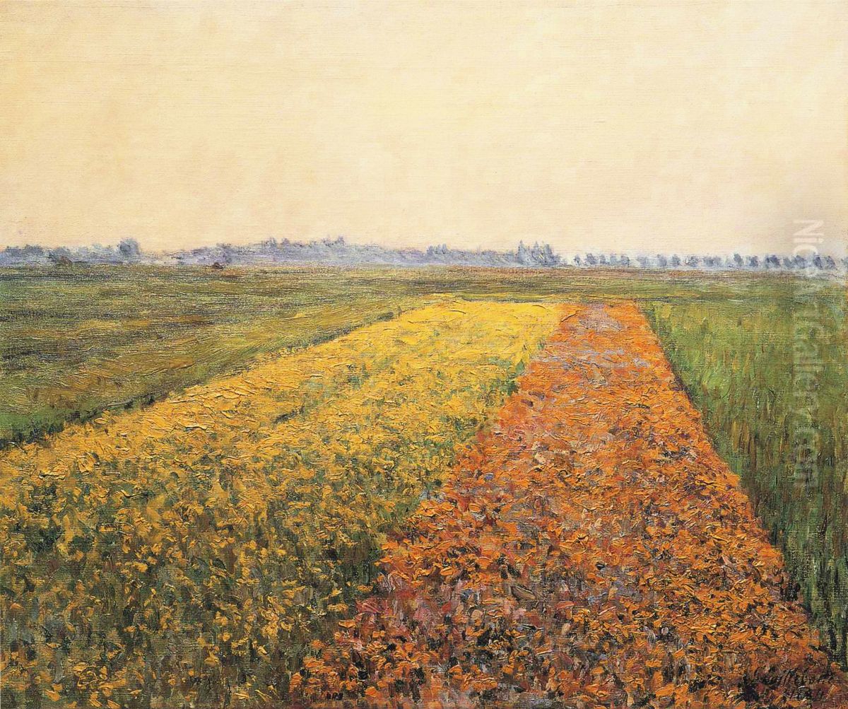 The Yellow Fields At Gennevilliers Oil Painting by Gustave Caillebotte