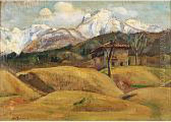 Baita In Montagna Oil Painting by Marco Davanzo