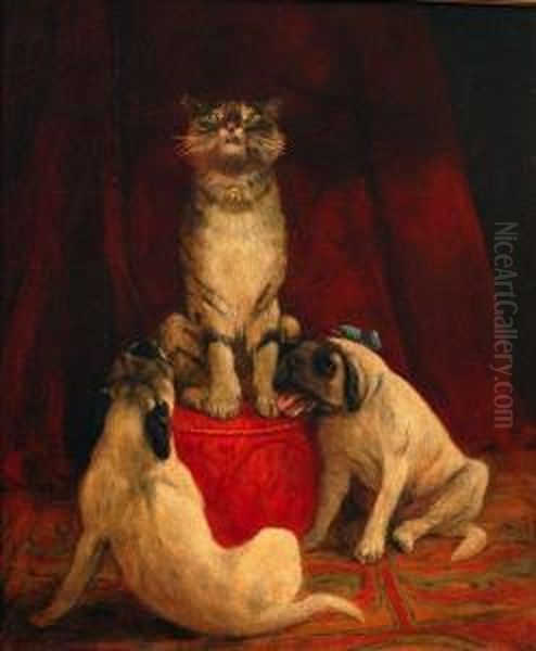 Top Cat, Scene Depicting A Cat On A Red Pouffe With Two Pug Dogs Below Oil Painting by Thomas C. S. Benham