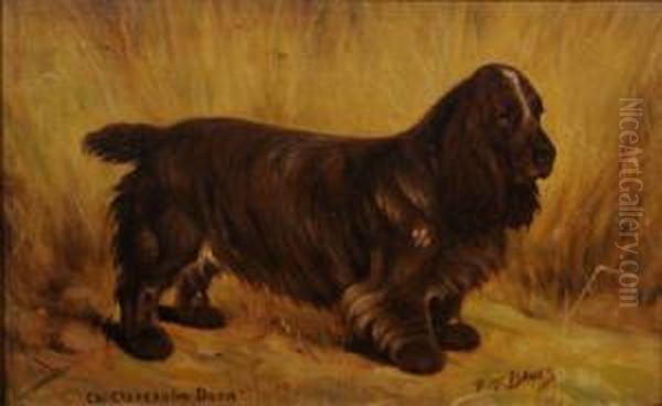 Spaniel In A Landscape, Champion Clareholm Dora. Oil Painting by Thomas C. S. Benham
