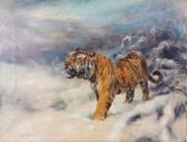 A Study Ofa Tiger In Snowy Mountainous Landscape Oil Painting by Thomas C. S. Benham