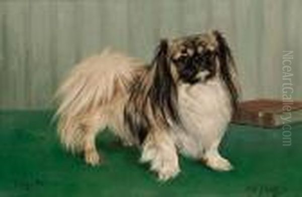 Portrait Of The Pekingese 'tang-hi' Oil Painting by Thomas C. S. Benham