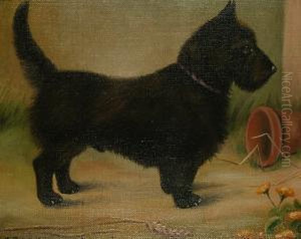 Portrait Of 'butch' Oil Painting by Thomas C. S. Benham