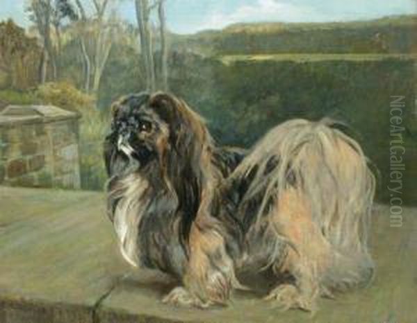 Portrait Of A Pekingese Oil Painting by Thomas C. S. Benham