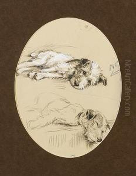 Wire Haired Fox Terrier Oil Painting by Lucy Dawson