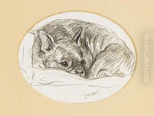 Laddy Oil Painting by Lucy Dawson