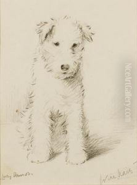 Wire Hair Puppy Oil Painting by Lucy Dawson