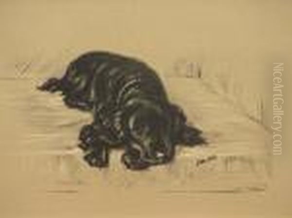 Mac - Black Cocker Spaniel