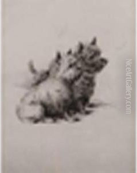 Anonimo Oil Painting by Lucy Dawson