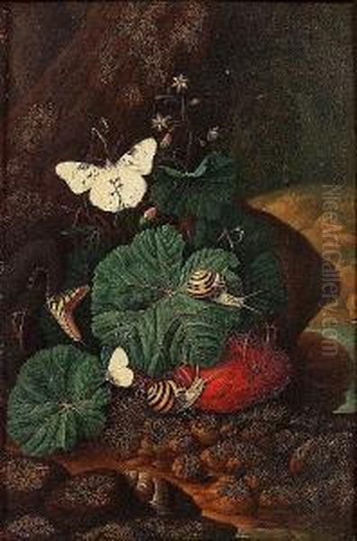 A Forest Floor Still Life With A
 Lizard, Snails And Butterflies; And A Forest Floor Still Life With A 
Snake, Snails And Butterflies Oil Painting by Carl Wilhelm de Hamilton