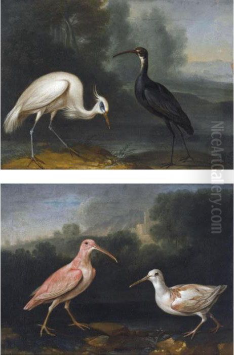 Curlew And A Greenshank In A 
Landscape (#) An Egret And A Black Stork In A 
Landscape Oil Painting by Ferdinand Phillip de Hamilton