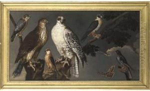 A Pair Of Gyrfalcons Perching On
 A Branch With A Merlin And Other Falcons And Two Butterflies Oil Painting by Ferdinand Phillip de Hamilton