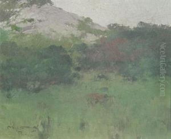 Paisaje De Piriapolis Oil Painting by Carlos Maria De Santiago