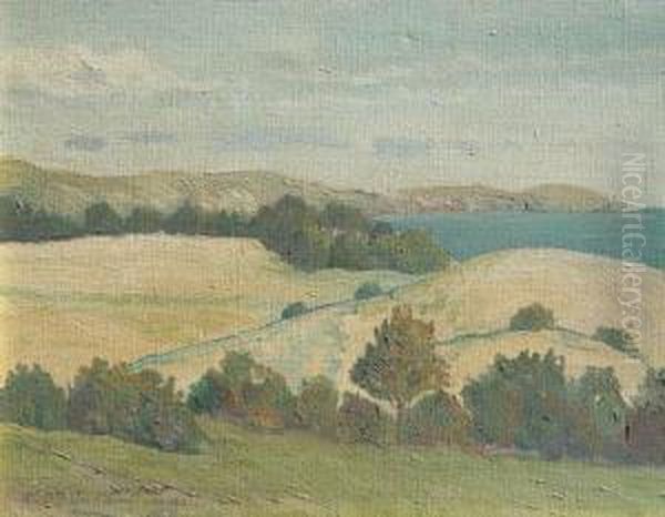 Vista De Punta Ballena Oil Painting by Carlos Maria De Santiago