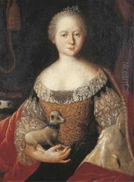 Portrait Of A Lady, Seated 
Half-length, In A Gold Brocade Dresswith Lace And A Red Velvet Wrap 
Lined With Ermine, Holding Her Petdog, A Curtain In The Background Oil Painting by Louis de Silvestre