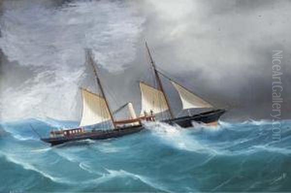 The Royal London Yacht Club's Steam Yacht Queen Marfisa Oil Painting by A. De Simone
