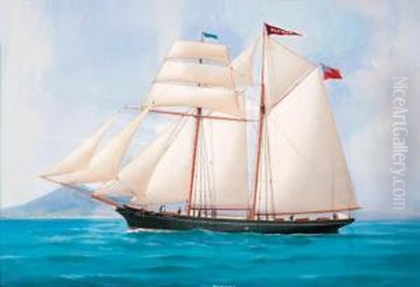 The British Schooner Pluvier Under Full Sail Off Naples Oil Painting by A. De Simone