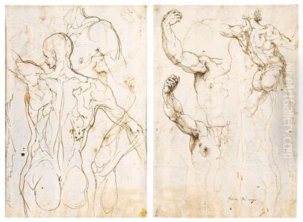 Vaga Oil Painting by Perino Del Vaga (Pietro Bonaccors