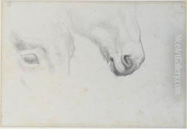 Sixteen Drawings Of Various 
Subjects Including Moses In The Bullrushes, Judith With The Head Of 
Holofernes, Mourners At A Tomb, Horse Studies And Figure Studies Oil Painting by Paul Delaroche