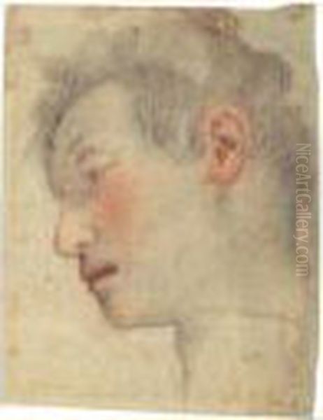 Study Of A Head Oil Painting by Santi Di Tito