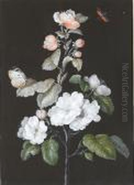 A Red Admiral Butterfly On Apple Blossom; And A Cabbage Butterfly On Cherry Blossom Oil Painting by Barbara Regina Dietzsch