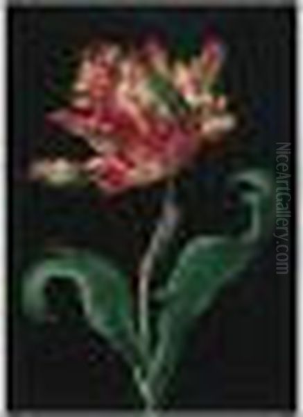 A Yellow And Red Tulip With A Dragonfly And A Caterpillar Oil Painting by Barbara Regina Dietzsch