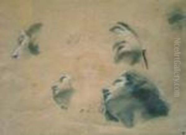 Etudes De Tetes Oil Painting by Martin Drolling