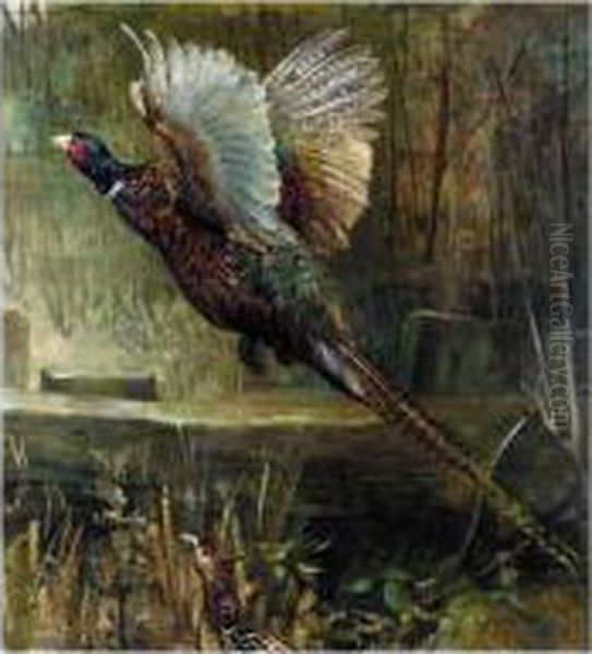The Startled Pheasants Oil Painting by Arthur Drummond