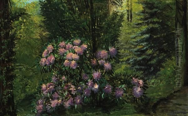 Pink Rhododendron Oil Painting by Frank Vincent Dumond