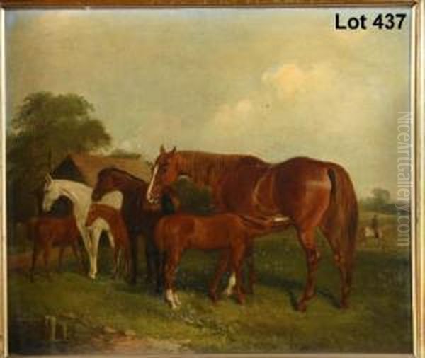 Study Of A Group Of Horses In A 
Field With Young Foalfeeding And Mounted Equestrian Figure Riding In The
 Background Oil Painting by J. Duvall