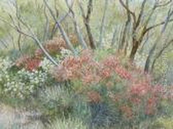 Bush Landscape Oil Painting by Bernard Walter Evans
