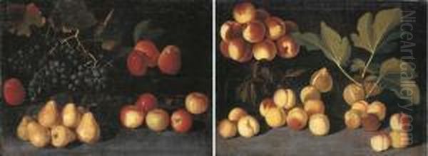Grapes, Pears And Apples On A 
Forest Floor; And Peaches, Apricots And Figs On A Forest Floor Oil Painting by Giacomo Fardella