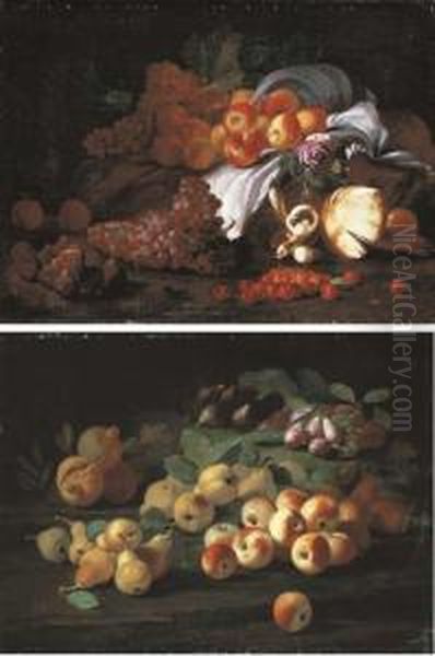 Grapes, Pears, Apples And Roses 
On A White Cloth, With Figs, Grapes And Other Fruit And Mushrooms On A 
Forest Floor; And Pomegranates, Pears, Quinces, Apples, Plums And Figs 
On A Forest Floor Oil Painting by Giacomo Fardella
