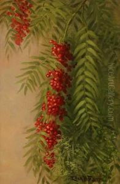 Pepper Tree Berries & Foliage S L/r: Ellen B. Farr O/cb 12x8
 Provenance: Residence Oil Painting by Ellen Frances Farr