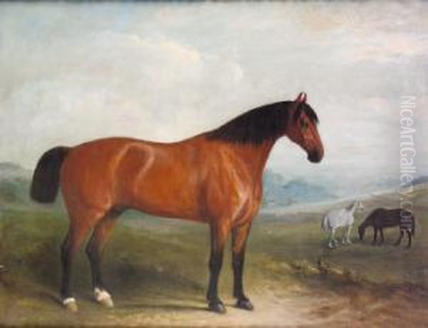 Portrait Of A Bay Hunter In 
Extensive Landscape With Grey And Chestnut Horses In The Middle Ground Oil Painting by John Jnr. Ferneley