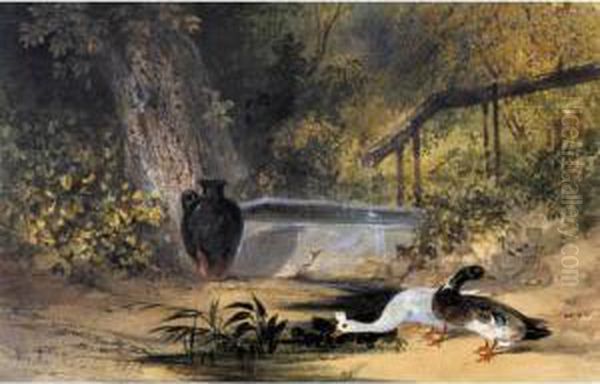 Ducks By A Pool Of Water Oil Painting by Newton Fielding