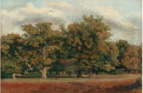 Fontainebleau, Le Bas-breau Oil Painting by Paul Flandrin
