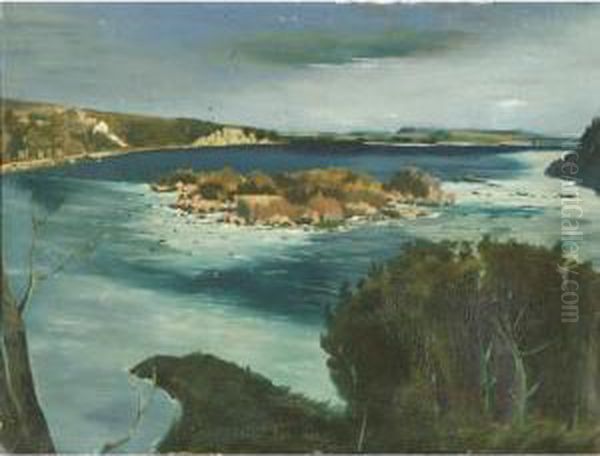 Swan Island, Maryland Oil Painting by Vaughn Flannery