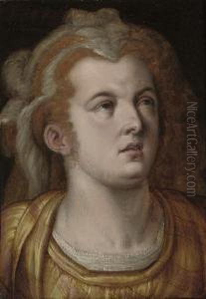 Head Of A Woman Oil Painting by Frans Floris