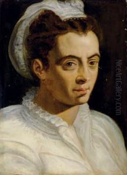 Portrait Of A Woman In A White Chemise And Headdress Oil Painting by Frans Floris