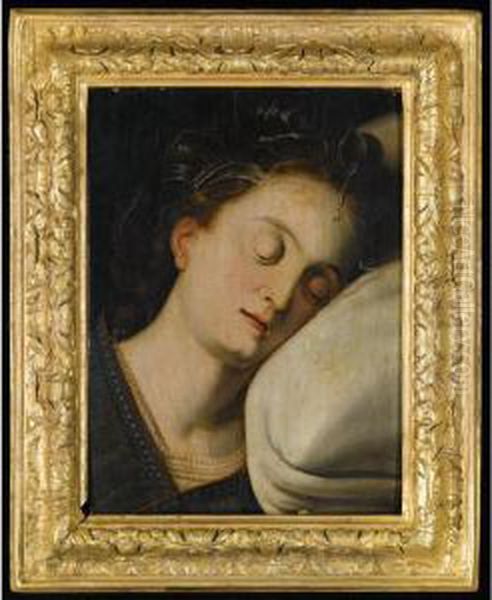 The Head Of A Sleeping Woman Oil Painting by Frans Floris