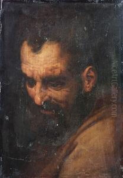 The Head Of A Bearded Man Oil Painting by Frans Floris