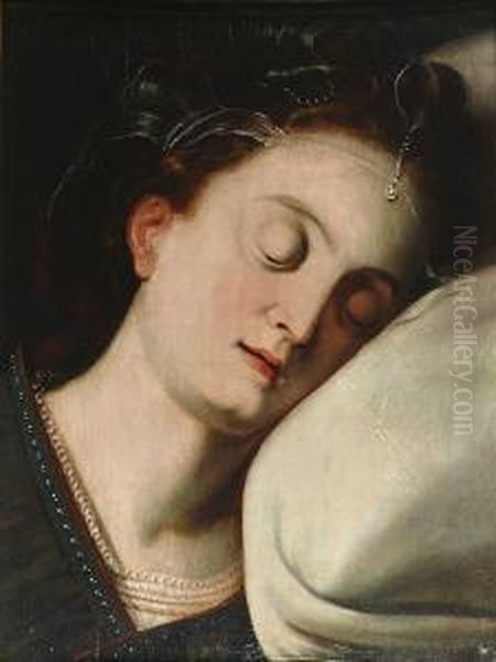 Jeune Femme Endormie Oil Painting by Frans Floris