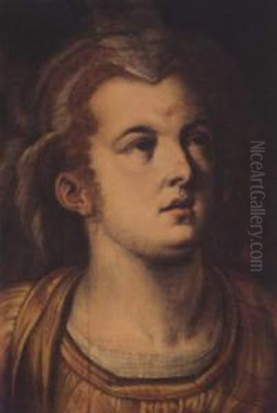 Head A Woman Oil Painting by Frans Floris
