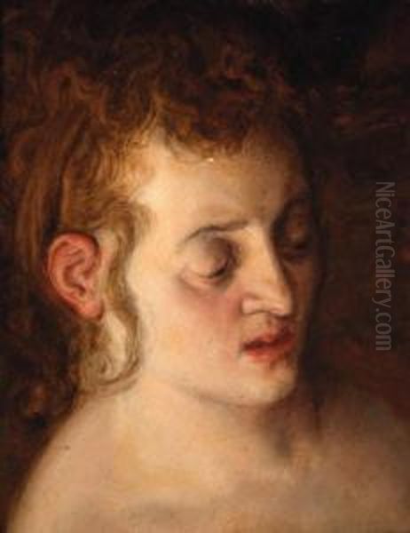 The Head Of A Woman - A Study Oil Painting by Frans Floris