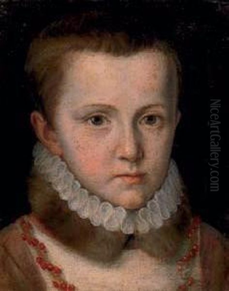 Ritratto Di Giovanetto Con Gorgiera Oil Painting by Lavinia Fontana