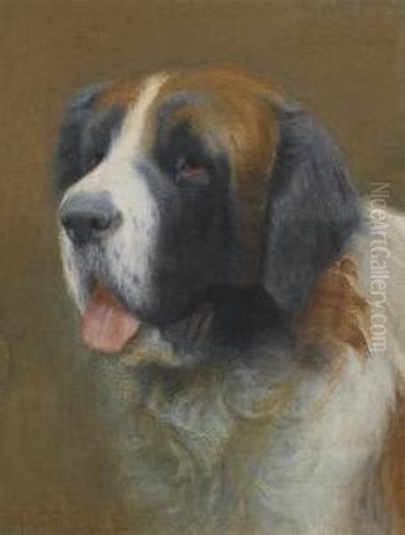 Study Of 'carlo', The Artist's St. Bernard Oil Painting by Elizabeth A.Stanhope Forbes