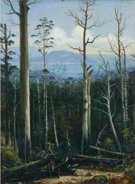 Tasmanian View Oil Painting by H. Forrest