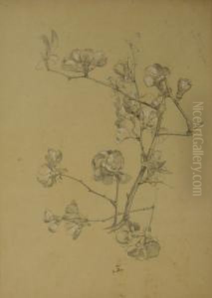 Lot De 12 Etudes De Fleurs Et De Feuilles Oil Painting by Alexis Fournier