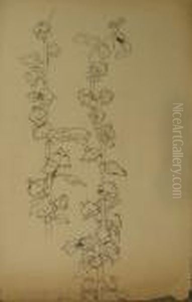 Lot De 8 Etudes De Fleurs Et De Feuilles Oil Painting by Alexis Fournier